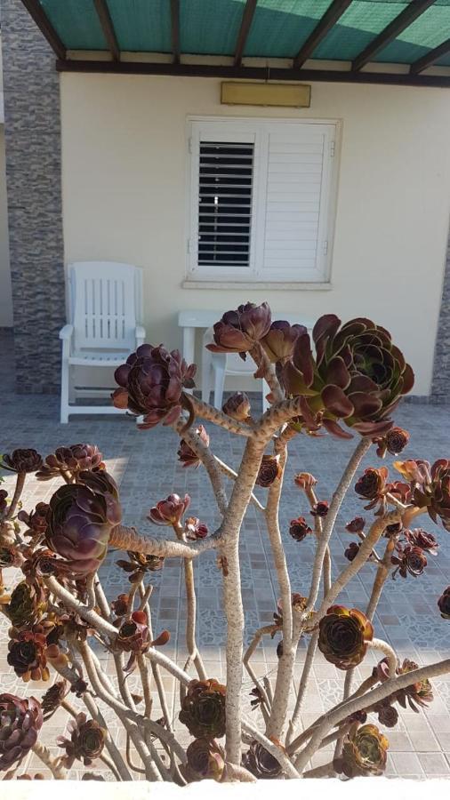 Panorama Beach House, 5 Meters To The Sea Perivolia Buitenkant foto