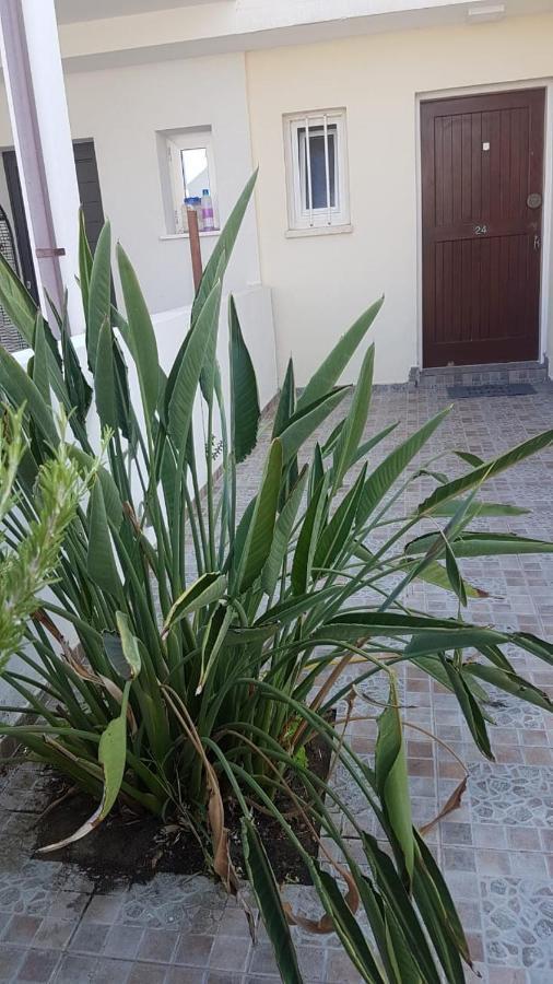Panorama Beach House, 5 Meters To The Sea Perivolia Buitenkant foto